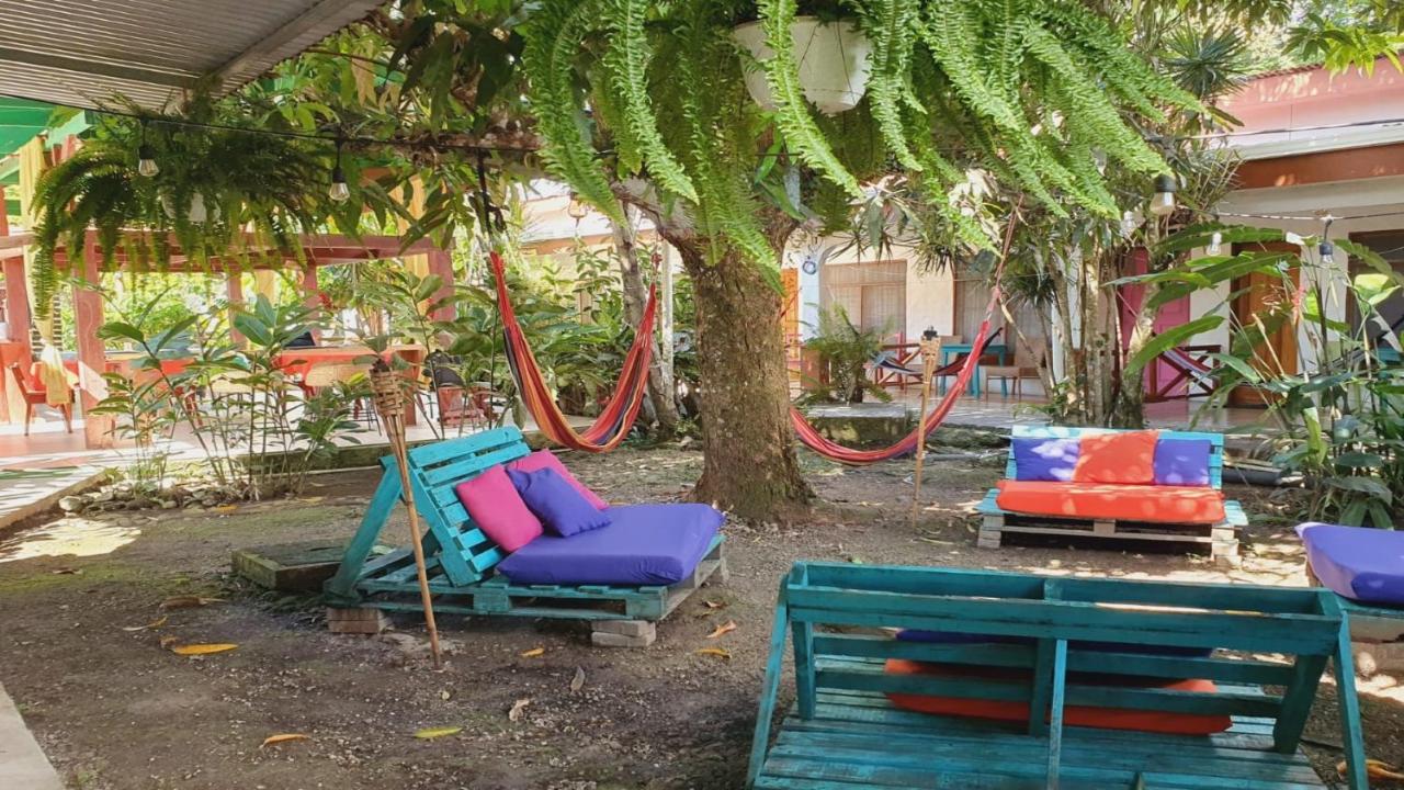 קאוויטה Cabinas Palmer Makanda מראה חיצוני תמונה